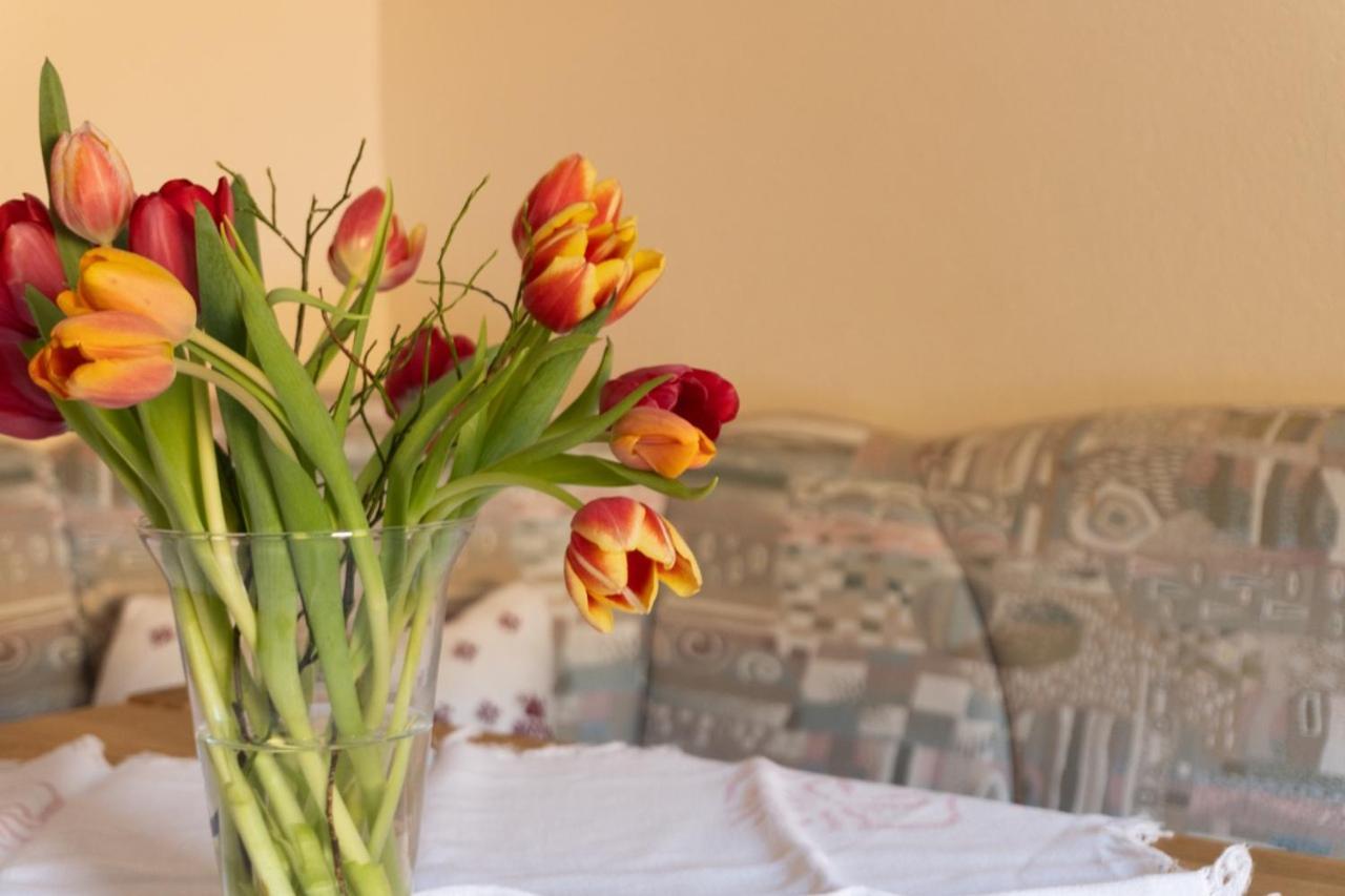 Pension Trillerhof Ramsau am Dachstein Luaran gambar