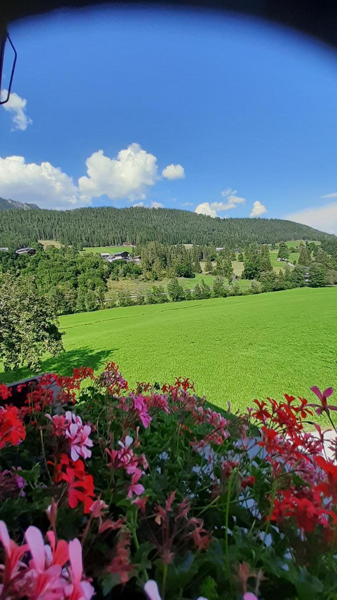 Pension Trillerhof Ramsau am Dachstein Luaran gambar