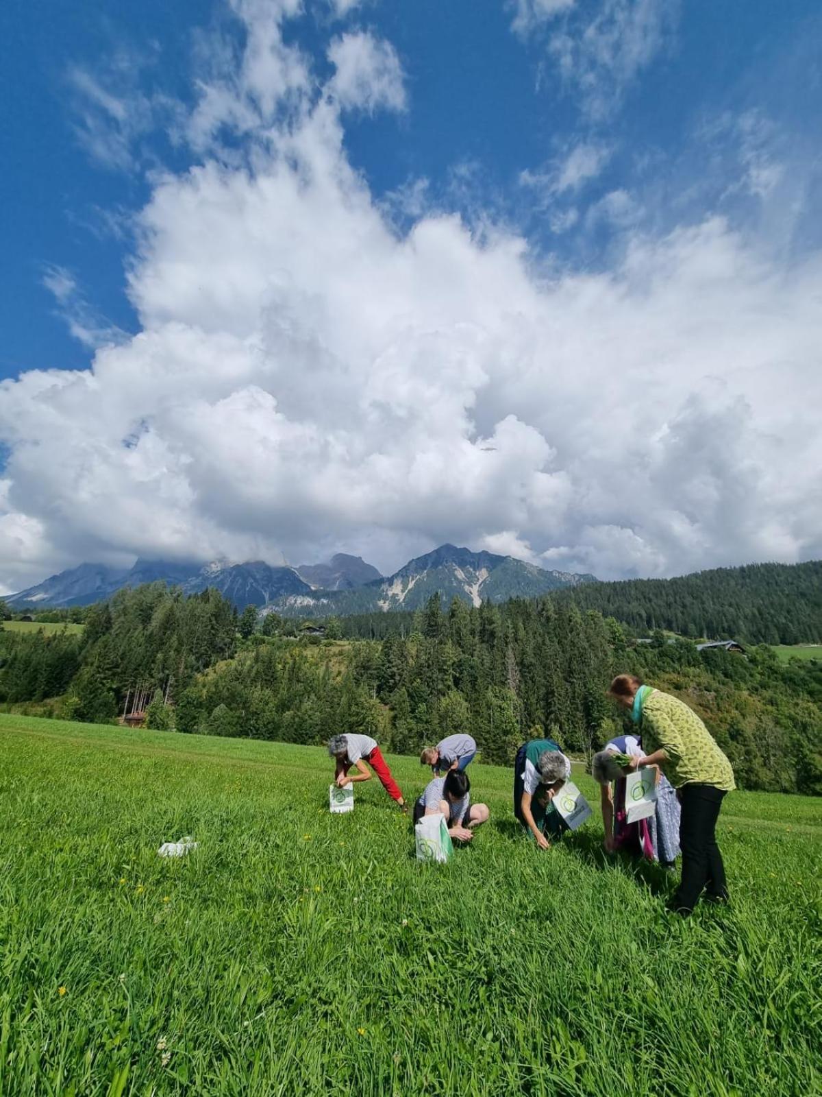 Pension Trillerhof Ramsau am Dachstein Luaran gambar