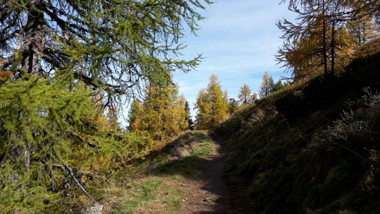 Pension Trillerhof Ramsau am Dachstein Luaran gambar