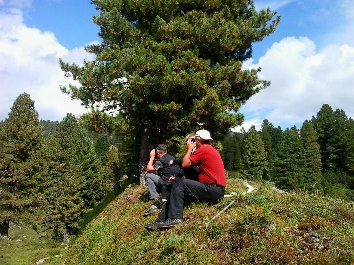 Pension Trillerhof Ramsau am Dachstein Luaran gambar