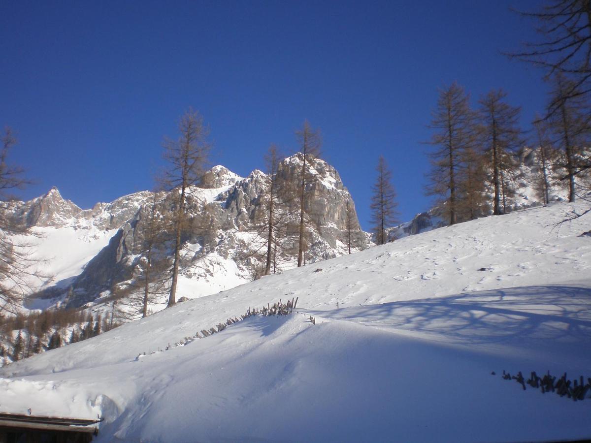 Pension Trillerhof Ramsau am Dachstein Luaran gambar